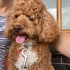 Meet your Posher, Stacey